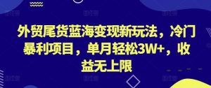 外贸尾货蓝海变现新玩法,冷门暴利项目,单月轻松3W+,收益无上限【揭秘】-6688资源库