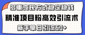 精准项目粉高效引流术，新手单日引流50+，多重变现方式稳定赚钱【揭秘】-6688资源库
