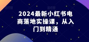 2024最新小红书电商落地实操课，从入门到精通-6688资源库