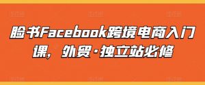 脸书Facebook跨境电商入门课，外贸·独立站必修-6688资源库