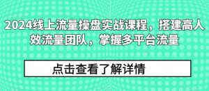 2024线上流量操盘实战课程，搭建高人效流量团队，掌握多平台流量-6688资源库