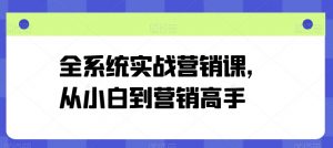 全系统实战营销课，从小白到营销高手-6688资源库