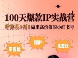 小红书100天爆款IP实战营，带你从0到1做出高价值的小红书号-6688资源库