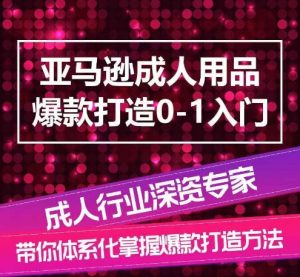 亚马逊成人用品爆款打造0-1入门，系统化讲解亚马逊成人用品爆款打造的流程-6688资源库