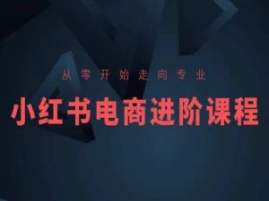 从零开始走向专业，小红书电商进阶课程-6688资源库