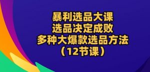 暴利选品大课：选品决定成败，教你多种大爆款选品方法(12节课)-6688资源库