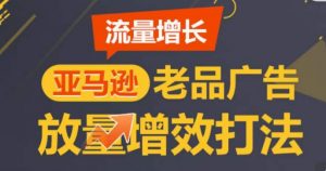亚马逊流量增长-老品广告放量增效打法，循序渐进，打造更多TOP listing​-6688资源库