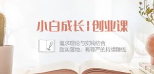 小白成长创业课:追求理论与实践结合,踏实落地,有尊严的持续赚钱-42节-6688资源库