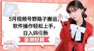 5月视频号野路子搬运，软件操作轻松上手，日入三位数【揭秘】-6688资源库