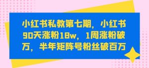 小红书私教第七期，小红书90天涨粉18w，1周涨粉破万，半年矩阵号粉丝破百万-6688资源库