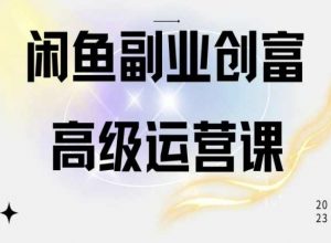 闲鱼电商运营高级课程，一部手机学会闲鱼开店赚钱-6688资源库