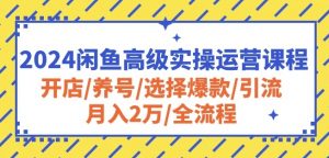 2024闲鱼高级实操运营课程:开店/养号/选择爆款/引流/月入2万/全流程-6688资源库