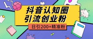 外面收费3980抖音认知圈引流创业粉玩法日引200+精准粉【揭秘】-6688资源库