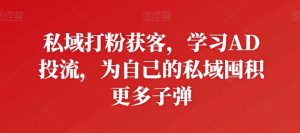 私域打粉获客，学习AD投流，为自己的私域囤积更多子弹-6688资源库
