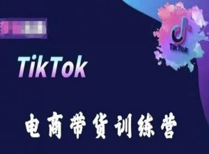 TikTok电商带货训练营，跟随时代潮流，跨境掘金-6688资源库
