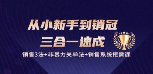 从小新手到销冠 三合一速成:销售3法+非暴力关单法+销售系统挖需课 (27节)-6688资源库