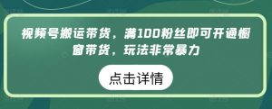 视频号搬运带货，满100粉丝即可开通橱窗带货，玩法非常暴力【揭秘】-6688资源库