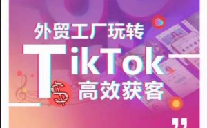 外贸工厂玩转TikTok高效获客，多种引流方式与账号定位技巧，拆解爆款短视频打造成功案例-6688资源库