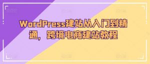 WordPress建站从入门到精通,跨境电商建站教程-6688资源库