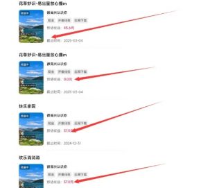 磁力聚星游戏副业陪跑训练营1.0，长期稳定项目，有人一周干了1K+-6688资源库