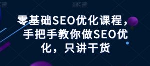 零基础SEO优化课程，手把手教你做SEO优化，只讲干货-6688资源库