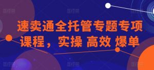 速卖通全托管专题专项课程，实操 高效 爆单-6688资源库