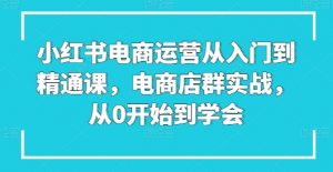 小红书电商运营从入门到精通课，电商店群实战，从0开始到学会-6688资源库