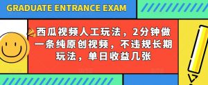 西瓜视频写字玩法，2分钟做一条纯原创视频，不违规长期玩法，单日收益几张-6688资源库
