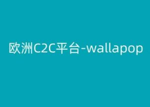 欧洲C2C平台-wallapop-kim跨境电商教程-6688资源库
