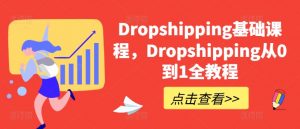 Dropshipping基础课程，Dropshipping从0到1全教程-6688资源库