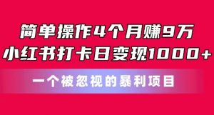 简单操作4个月赚9w，小红书打卡日变现1k，一个被忽视的暴力项目【揭秘】-6688资源库