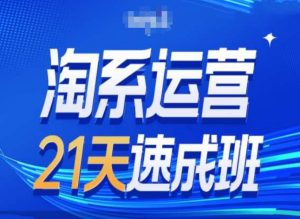 淘系运营24天速成班第28期最新万相台无界带免费流量-6688资源库