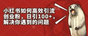 小红书如何高效引流创业粉，日引100+，解决你遇到的问题【揭秘】-6688资源库