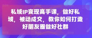 私域IP变现高手课，做好私域，被动成交，教你如何打造好朋友圈做好社群-6688资源库