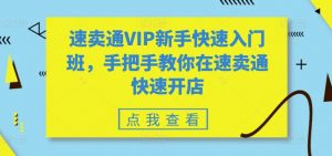 速卖通VIP新手快速入门班，手把手教你在速卖通快速开店-6688资源库