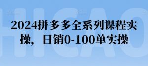 2024拼多多全系列课程实操，日销0-100单实操【必看】-6688资源库
