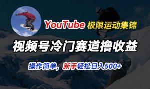 视频号冷门赛道撸收益，YouTube搬运极限运动集锦，暴力起号，操作简单流量高，轻松日入5张【揭秘】-6688资源库