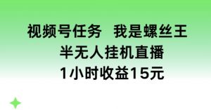 视频号任务，我是螺丝王， 半无人挂机1小时收益15元【揭秘】-6688资源库