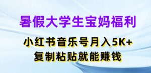 暑假大学生宝妈福利，小红书音乐号月入5000+，复制粘贴就能赚钱【揭秘】-6688资源库