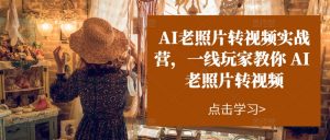 AI老照片转视频实战营，一线玩家教你AI老照片转视频-6688资源库