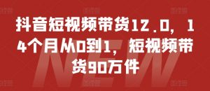 抖音短视频带货12.0，14个月从0到1，短视频带货90万件-6688资源库