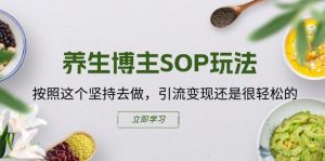 养生博主SOP玩法，按照这个坚持去做，引流变现还是很轻松的-6688资源库