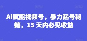 AI赋能视频号，暴力起号秘籍，15 天内必见收益【揭秘】-6688资源库