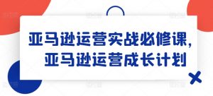 亚马逊运营实战必修课，亚马逊运营成长计划-6688资源库