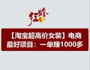 淘宝超高价女装项目，电商最好赛道，一单赚1000多-6688资源库