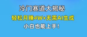 冷门赛道大揭秘,轻松月赚1W+无需AI生成,小白也能上手【揭秘】-6688资源库