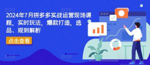 2024年7月拼多多实战运营现场课程，实时玩法，爆款打造，选品、规则解析-6688资源库