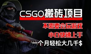CSGO 装备搬砖项目，操作简单，不需要会玩游戏，小白也能快速上手，一个月轻松大几千【揭秘】-6688资源库
