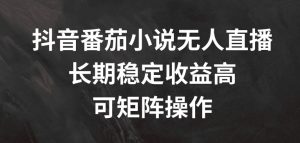 抖音番茄小说无人直播，长期稳定收益高，可矩阵操作【揭秘】-6688资源库