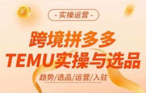 跨境拼多多TEMU实操与选品，多多temu跨境选品运营实操-6688资源库